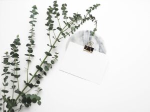 Photo Blank notebook