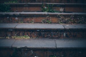 Photo Step-by-step guide