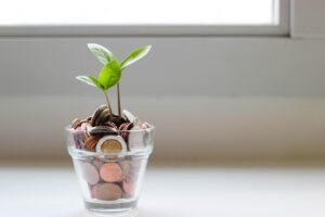 Photo Financial projections