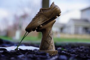 Photo Award trophy