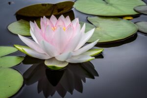 Photo Mindfulness retreat