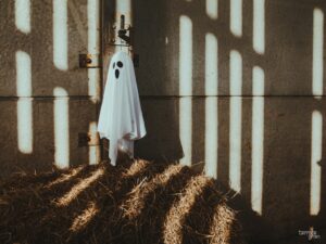 Photo Fellowship database