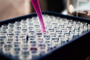 Photo Research Fellowships