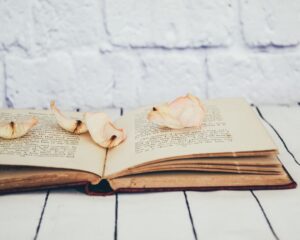 Photo Open book