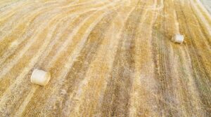 Photo Rural landscape
