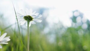 Photo STEM Scholarships