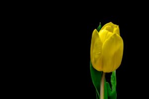 Photo STEM scholarship