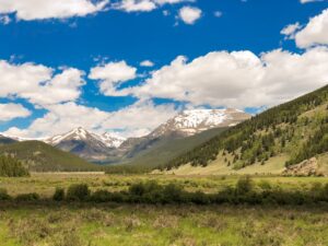 Photo Grant application form