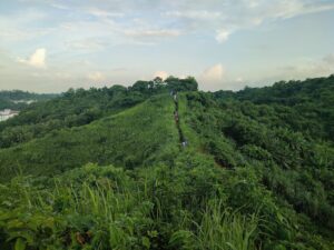 Photo Green campus