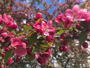 Photo Scholarship opportunities