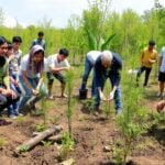 People planting saplings in a lush, green landscape.
