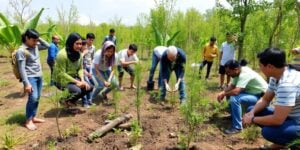 People planting saplings in a lush, green landscape.